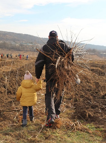 participare_civila